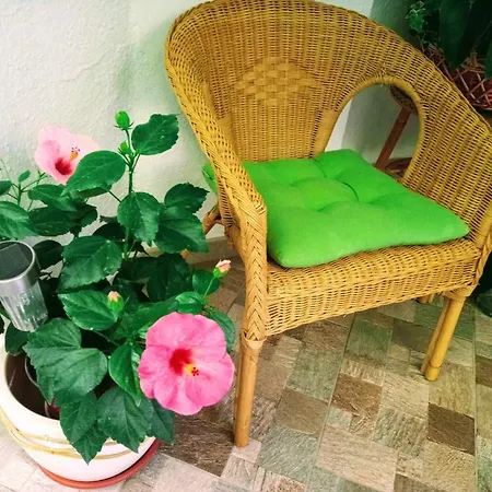 Apartment La Carihuela A 5 Minutos De La Playavistas Al Mar Torremolinos